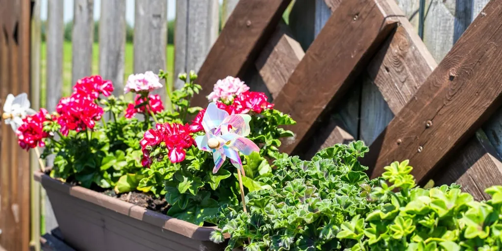 Jardin - Appartement avec Jardin à Evergem