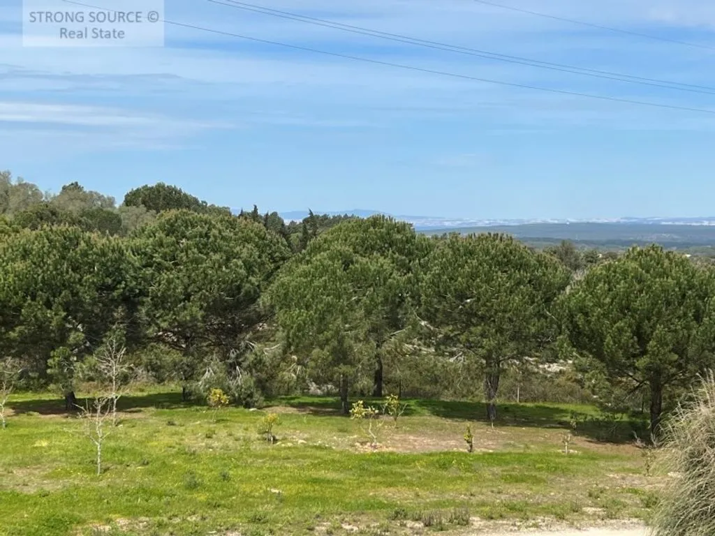 Jardin - Luxury Detached Villa with Pool in Casal das Figueiras