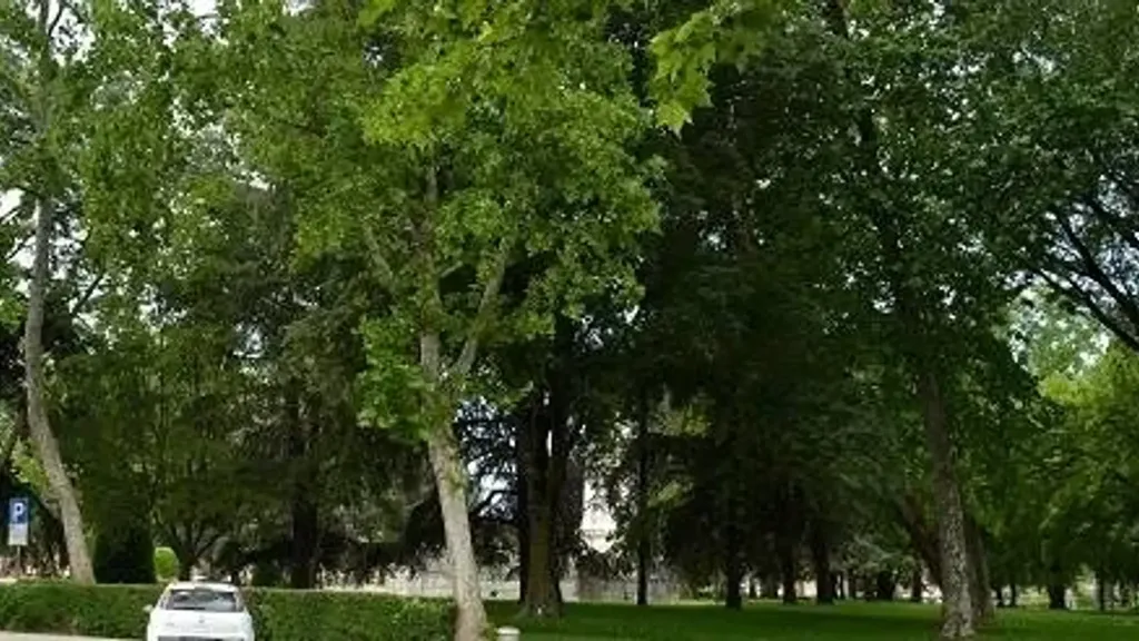 Apartment with Piazza View in Mantova