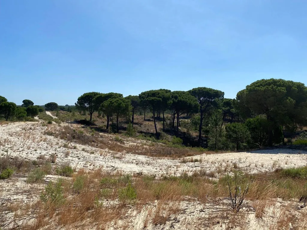 Aed - Buildable Land with Water Access near Grândola