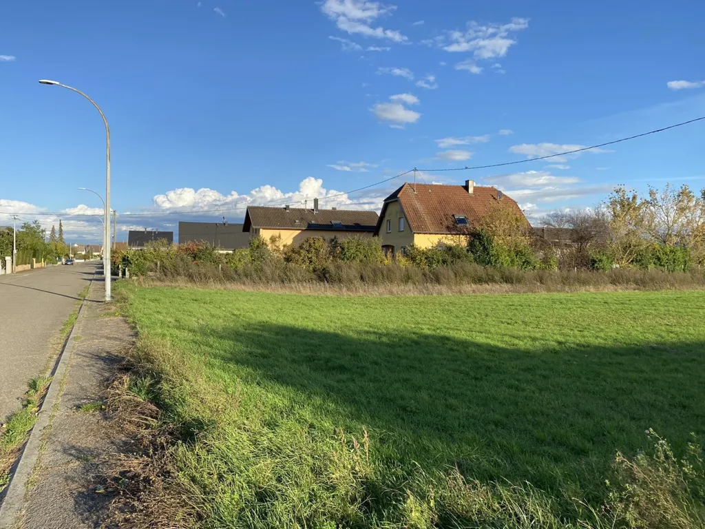 Jardin - Maison Contemporaine au Calme à Blodelsheim