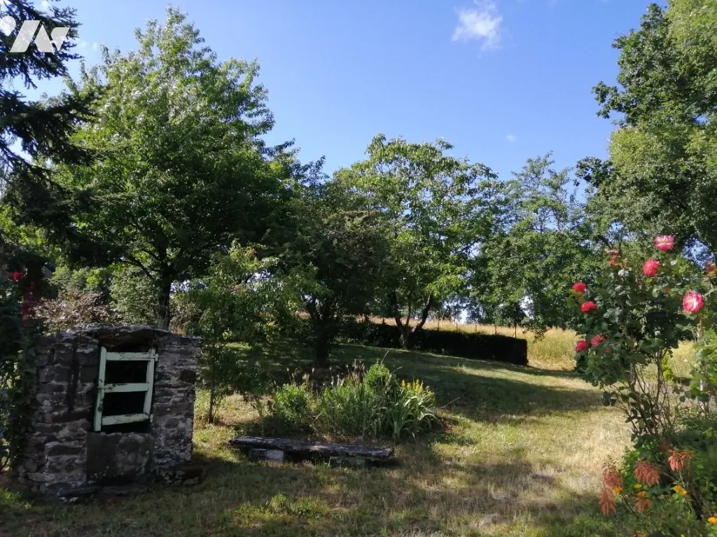 Giardino - Charming Stone Cottage with Garden in Blain
