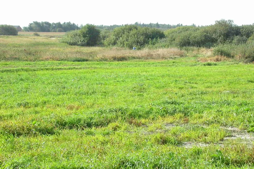 Aed - Year-Round Plot with 5G Coverage in Ringkøbing