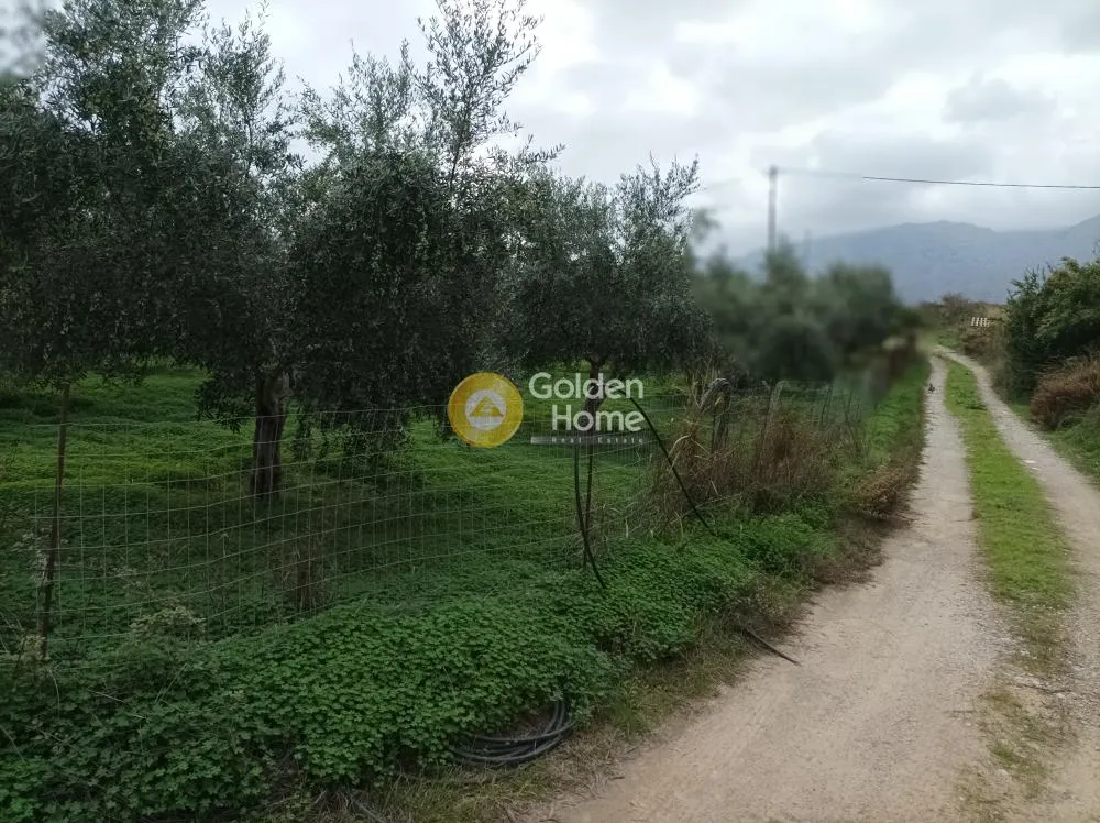 Aed - Buildable Plot with Sea View in Aprovouna, Chania
