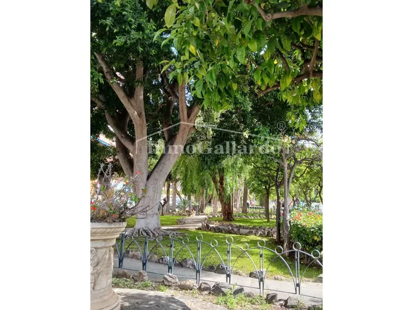 Spacious Apartment with Terrace in Málaga Centre