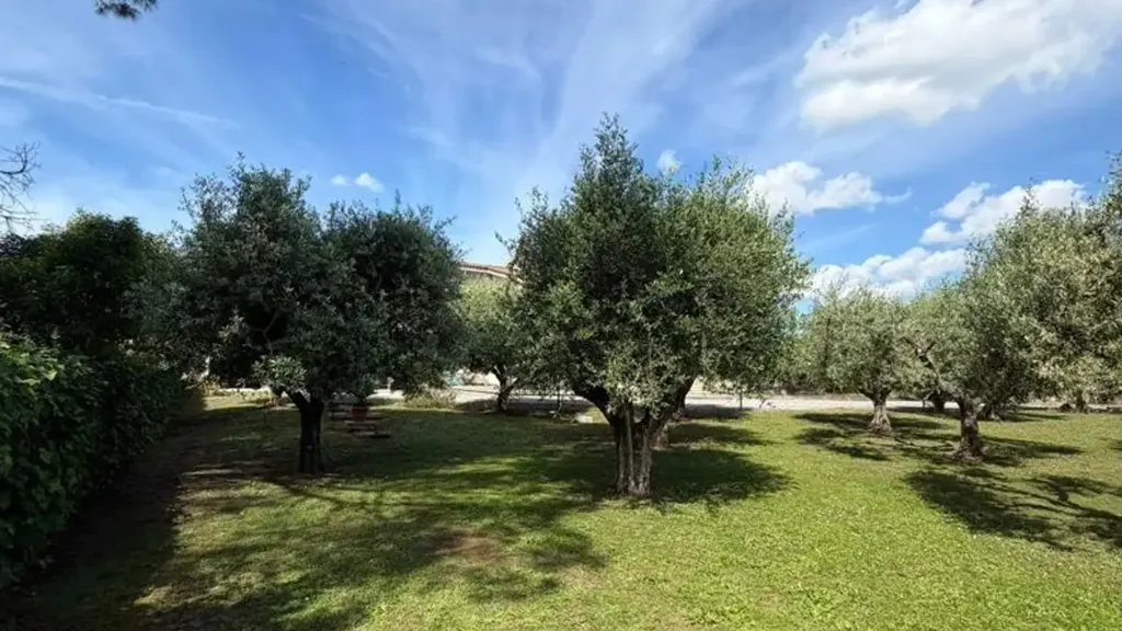 Giardino - Rustic Villa with Olive Grove in Lanuvio