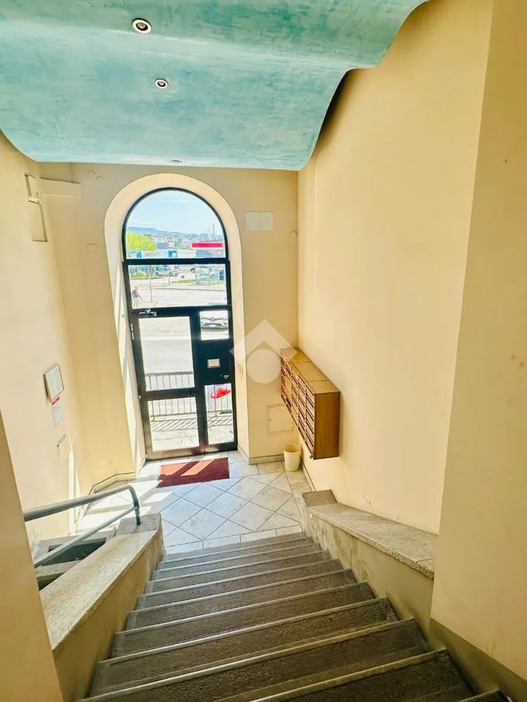 Toad - 2-Bedroom Apartment with Green View in Trieste
