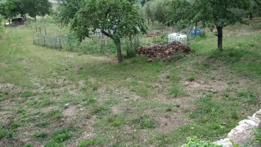 Jardin - Rustic Villa with Olive Grove in Dicomano