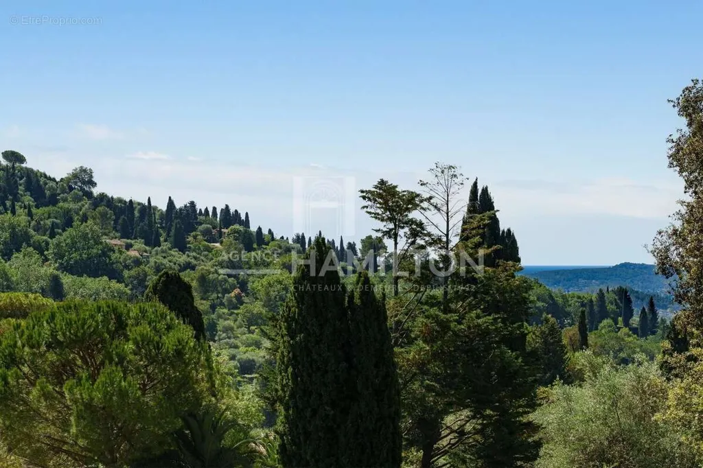 Aed - Luxury Villa with Pool in Grasse