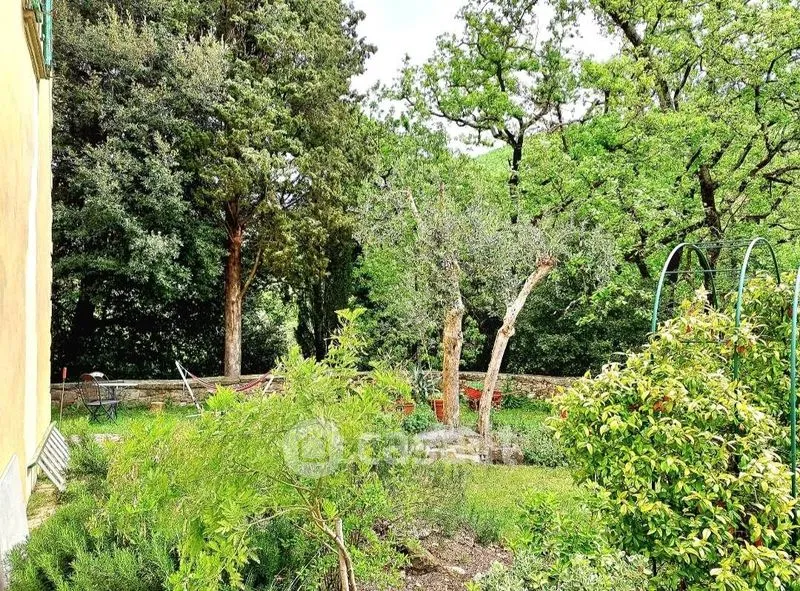 Jardin - Rustic Farmhouse with Olive Grove in Pontassieve
