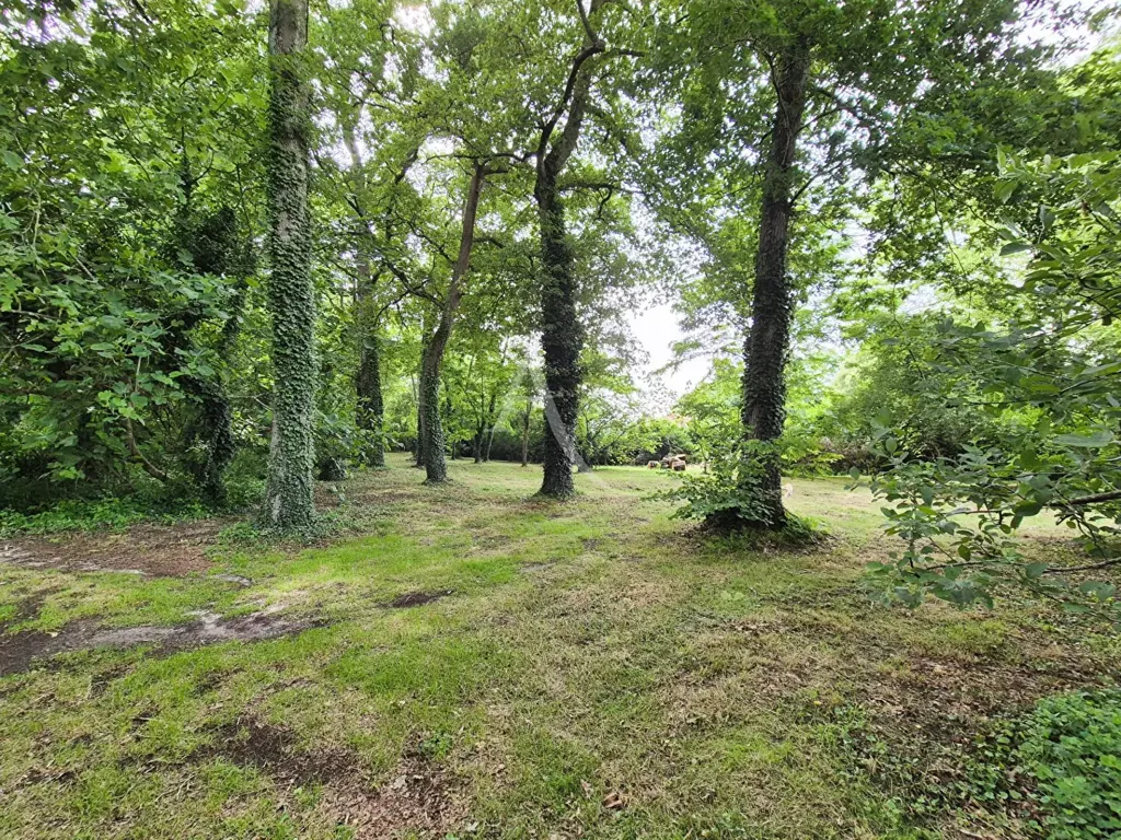 Giardino - Charming House with Pool in Landes Countryside