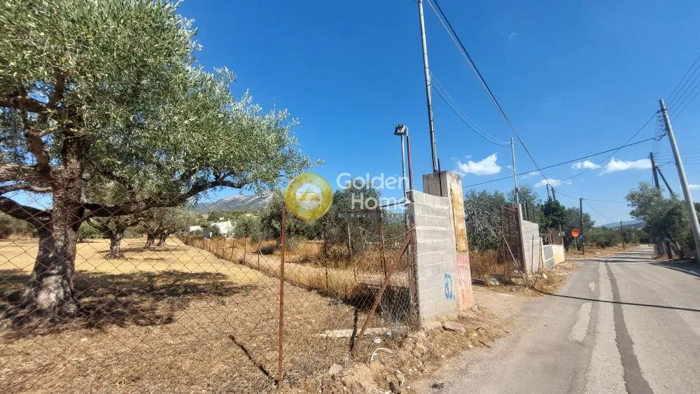 Aed - Warehouse with Storage in Koropi - Karelles