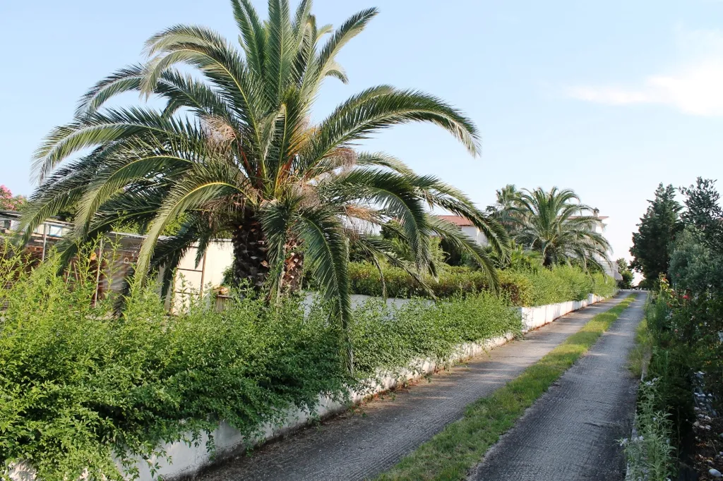 Extérieur - 3-Storey Villa with Sea View in Chalkidiki