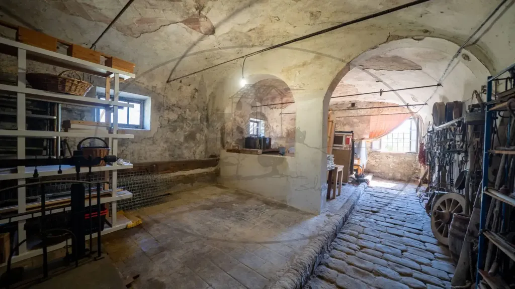 Toad - Rustic Farmhouse with Multiple Uses in Figline Valdarno