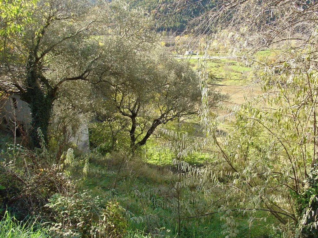 Jardin - Plot with Building License in Boltaña