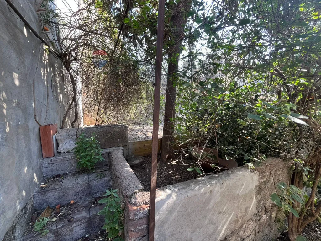 Garden - Semi-detached House with Garden in Catania Centre