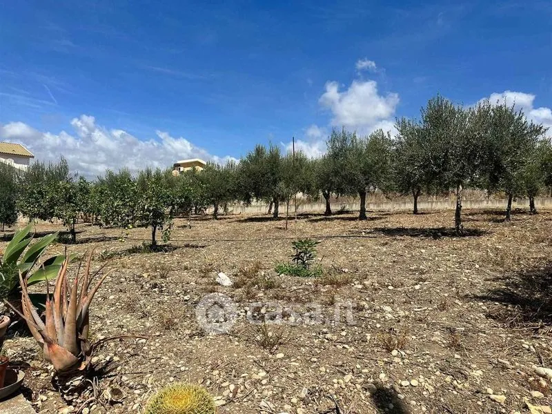 Jardin - Independent Villa with Garden in Ribera