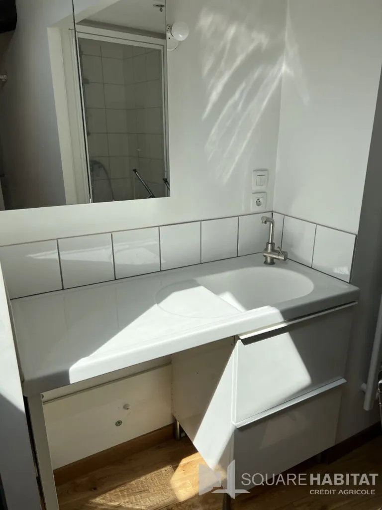 Salles de bain - Appartement Charmant sous les Toits à Clermont-Ferrand