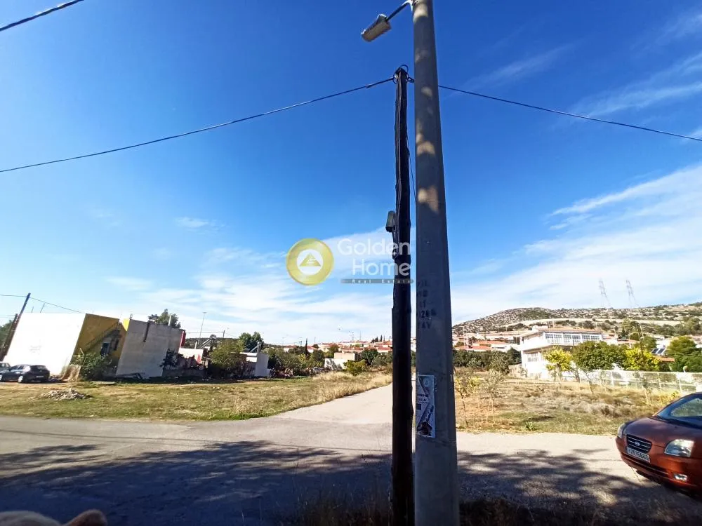 Aed - Agricultural Plot with Olive Potential in Ano Liosia