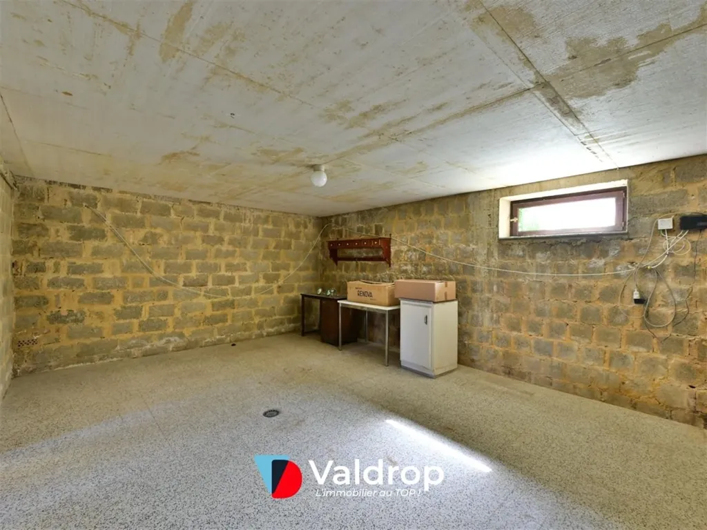 Toad - House with Potential in Arlon