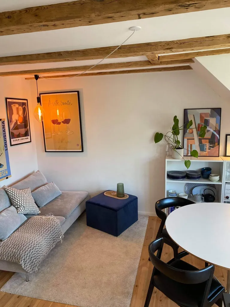 Elutuba - Renovated 3-Bedroom Flat in Aalborg Centre