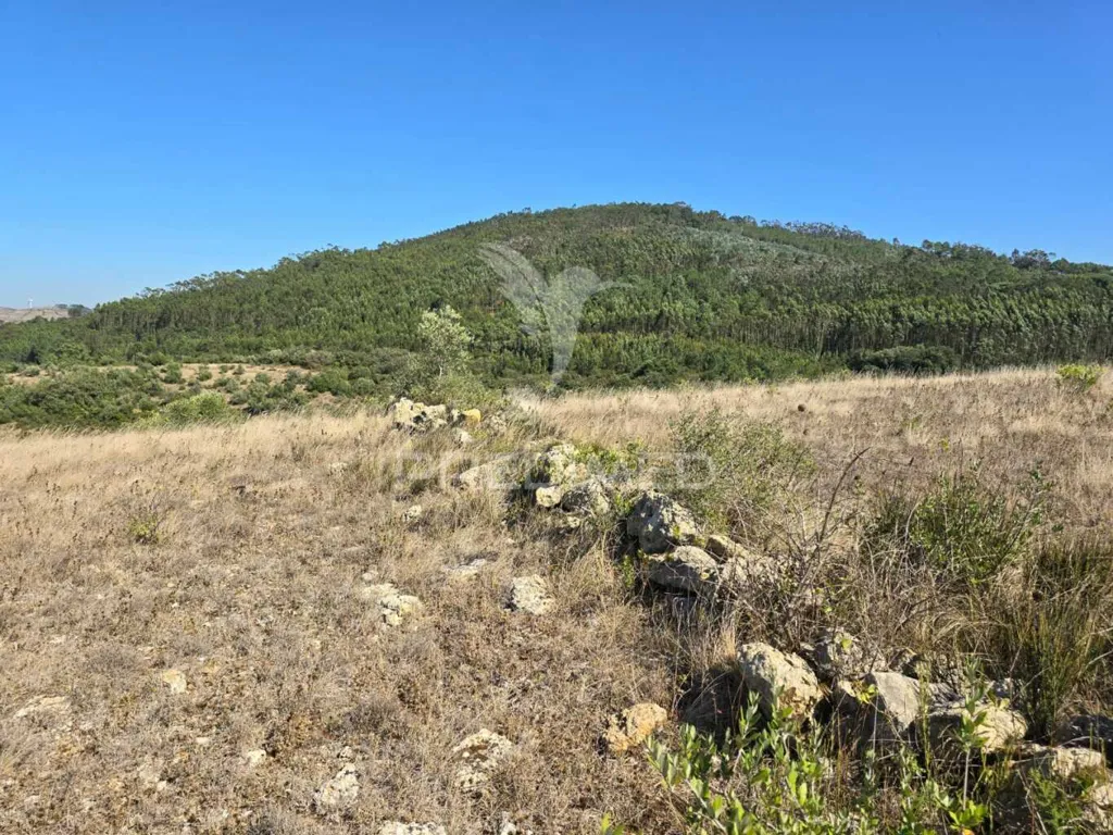 Jardin - Rustic Land with Approved Project in Mafra