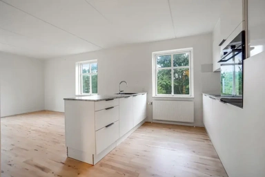 Cuisine - Modernised Flat with Depot in Odense Centre