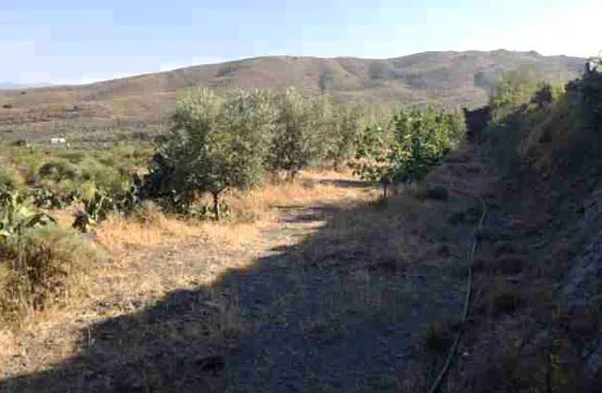 Giardino - Land Parcel in Senés, Almería