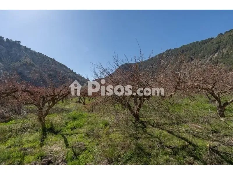 Giardino - Rustic Finca with Mountain View in Cónchar