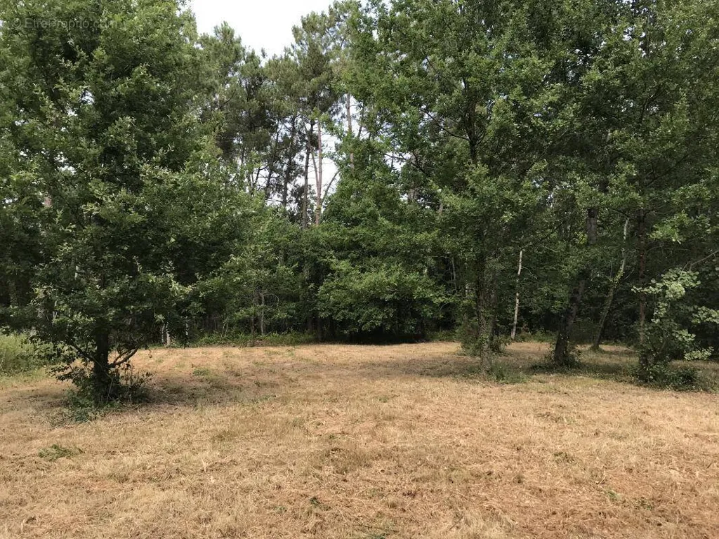 Giardino - Buildable Land in Prigonrieux