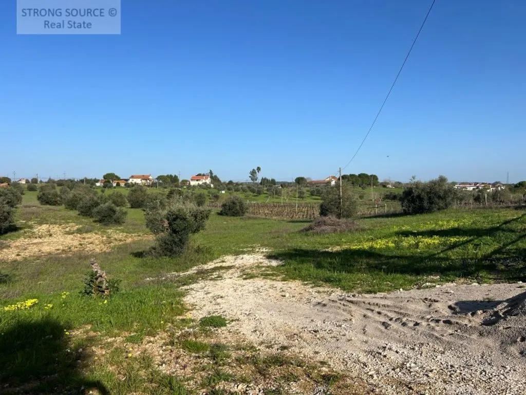 Jardin - Luxury Farmhouse with Pool in Ribatejo