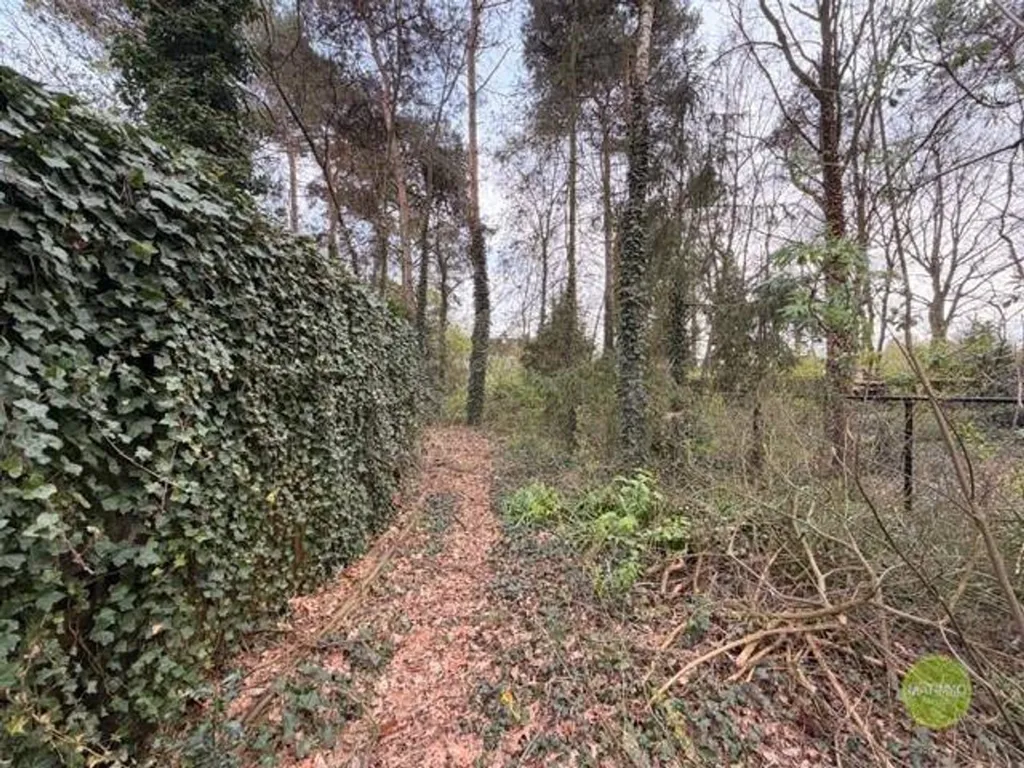Jardin - Maison Familiale avec Jardin à Mol