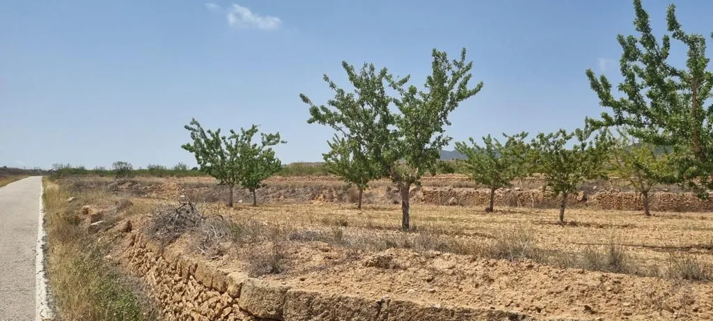 Jardin - Building Plot with Vineyard Views near Yecla