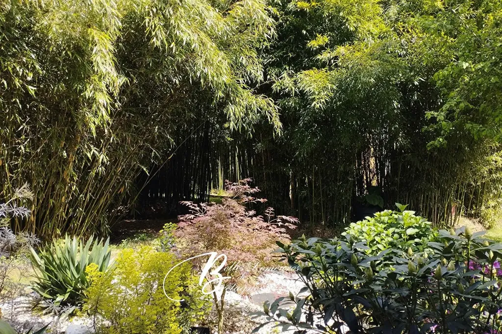 Jardin - Propriété avec Trois Longères et Piscine à Ria d'Etel