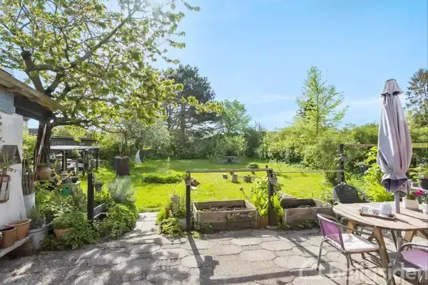 garden