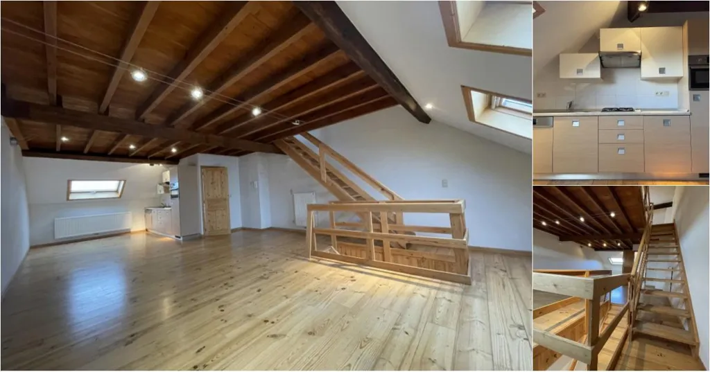 Toad - Duplex with Terrace near Cinquantenaire, Brussels
