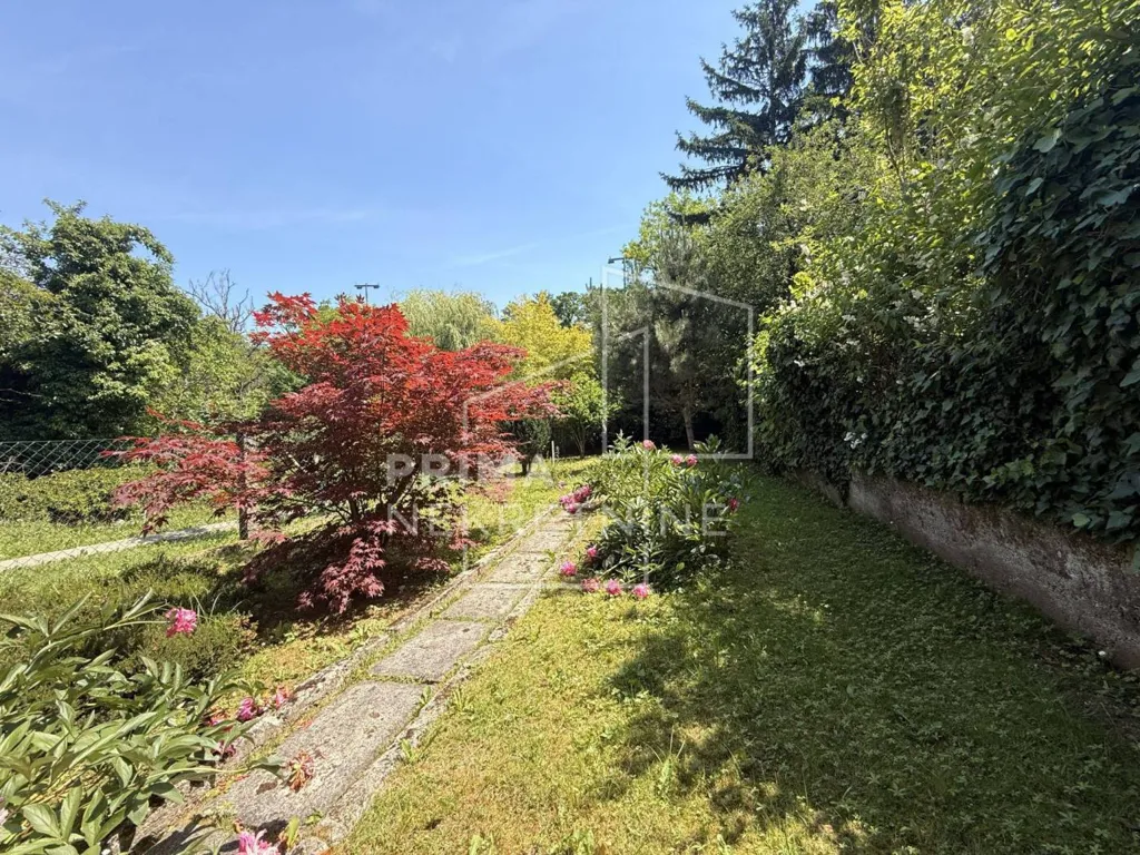 Garden - Multi-Unit House with Garden in Maksimir, Zagreb