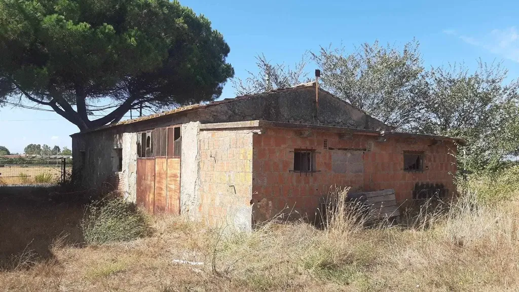 Extérieur - Tuscan Farmhouse with Orchard in Rosignano Marittimo