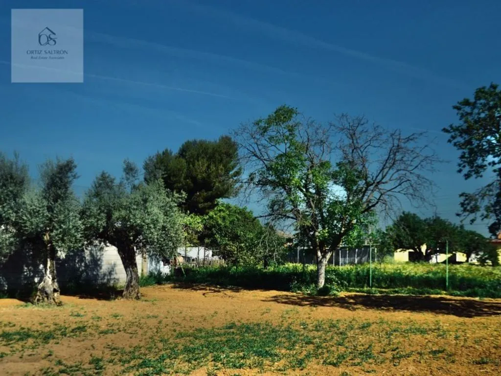 Giardino - Chalet with Pool in Mejorada del Campo