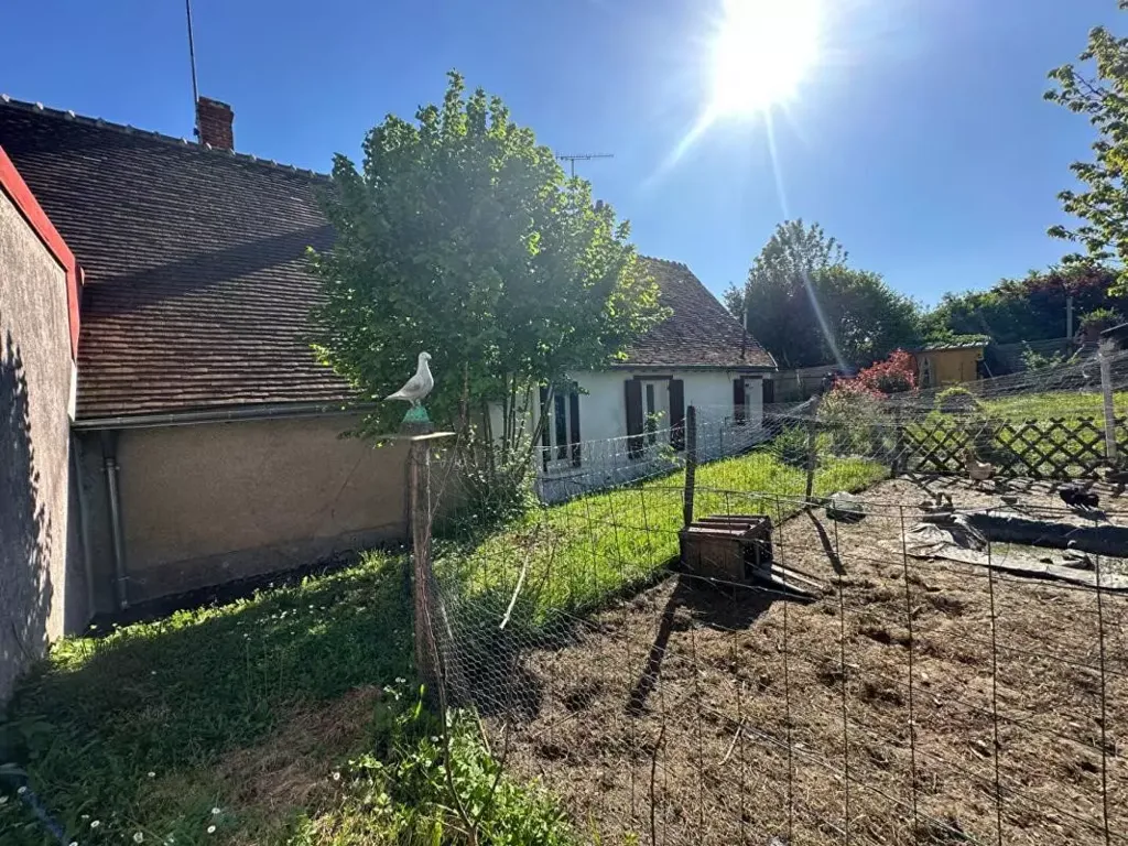 Aed - Two-Home Ensemble with Garden in Langé
