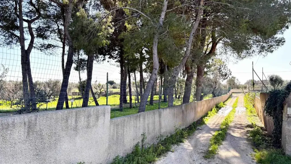 Aed - Villa with Garden in Grottamiranda, Carovigno