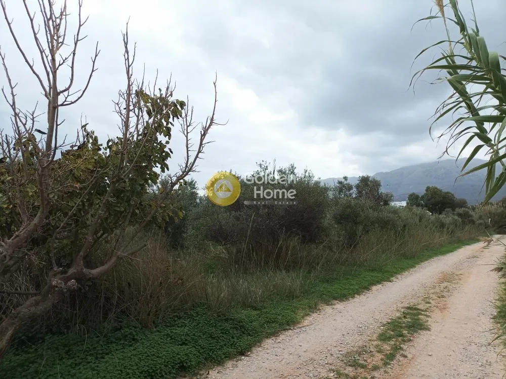 Aed - Buildable Plot with Sea View in Aprovouna, Chania