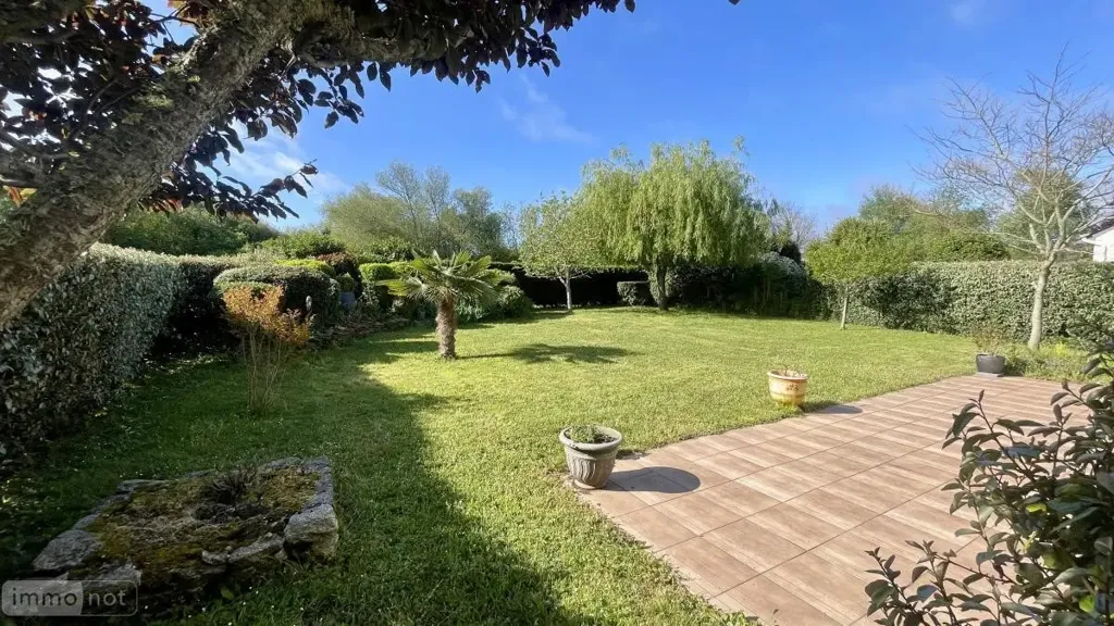 Aed - Contemporary House with South-Facing Terrace