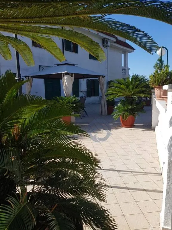 terrace_patio