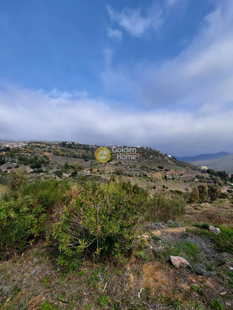 Garden - Plot with Sea View in Dráfi Pikermi