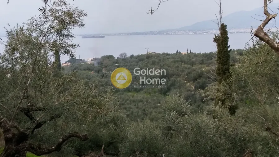 Aed - Plot with Sea View in Avia - Akrogiali