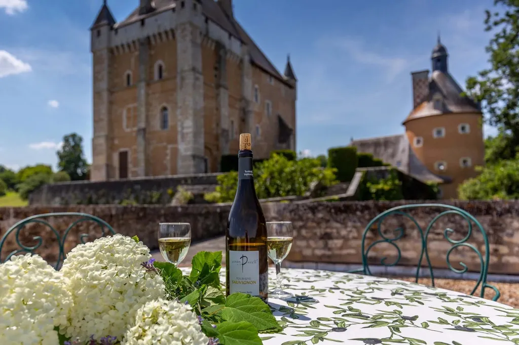 Välivaade - Medieval Château with River View near Poitiers