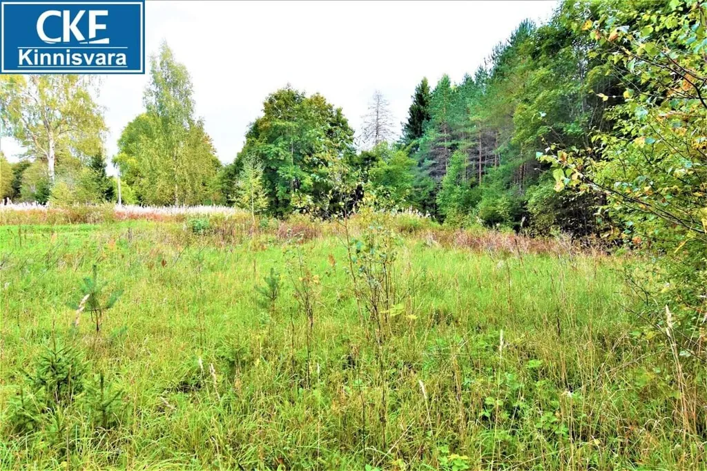 Jardin - Private Country House with Forest in Kose