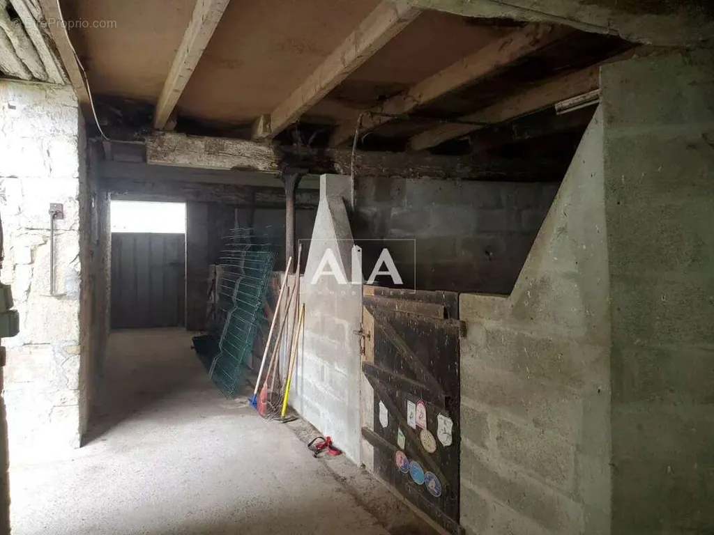 cellar