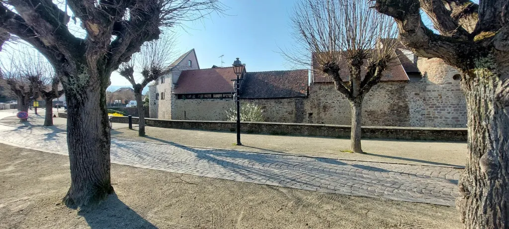 City Centre Duplex Apartment in Obernai
